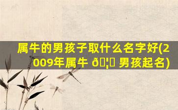 属牛的男孩子取什么名字好(2009年属牛 🦅 男孩起名)